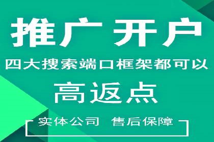 百度优化推广案例：从零开始打造爆款